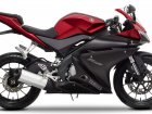 2015 Yamaha YZF-R 125